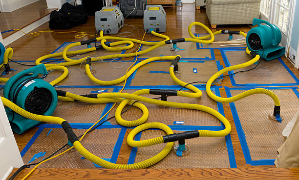 Professional Water Damage Restoration technician working in Bonney Lake, WA